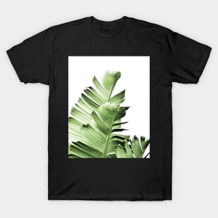 Banana leaves,Tropical leaves, Green leaves, Leaf, Modern art, Wall art, Print, Minimalistic, Modern, Scandinavian print T-Shirt